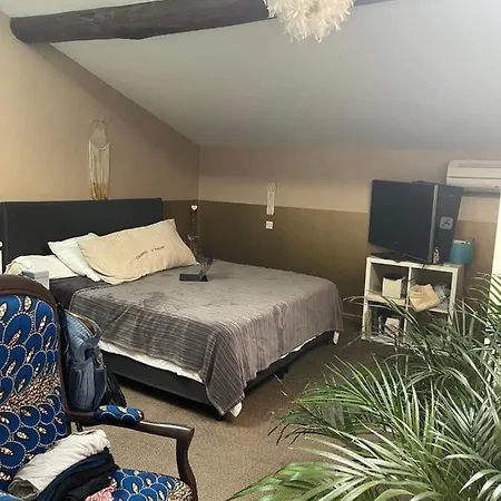 Hébergement de vacances Maison Piscine Centre Toulouse